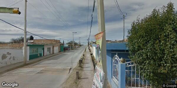 INSPECCIÓN FITOZOOSANITARIA